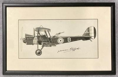 Norman Clifford profile drawing - Royal Aircraft Factory R.E.8, A4397 "Sylvia"
