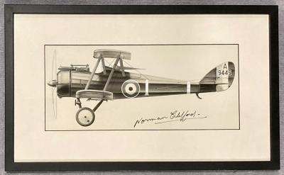 Norman Clifford profile drawing - Airco de Havilland DH.5, A9449