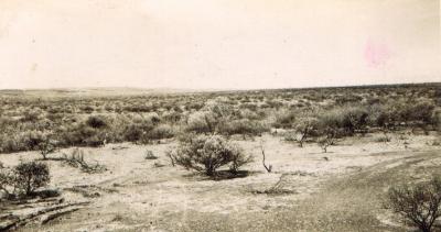 World War 2, Australia, Western Australia, Exmouth Gulf, Potshot, 1942