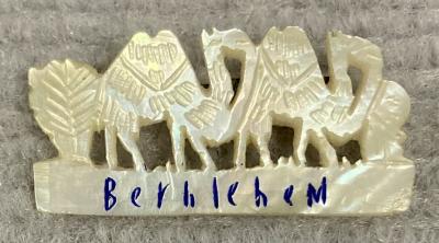 Mother of Pearl camel brooch sent from Bethlehem by Theophilus Thomas Walters