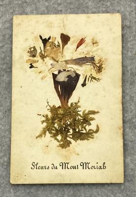 Souvenir card with pressed flowers sent by Henry in 1878