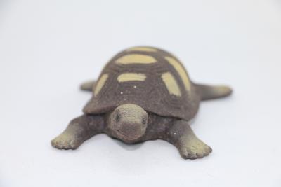Toy, Tortoise, Silicon
