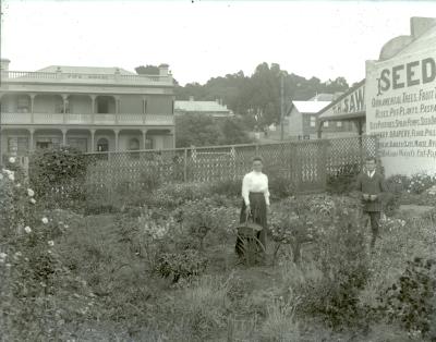 T.H.SAW SEED MERCHANTS AND GENERAL STORE, YORK ST ALBANY, 1908