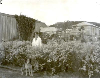 MRS T.H.SAWS GARDEN, YORK ST ALBANY, 1908