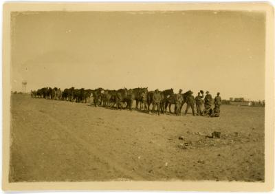 First World War Black and White Photograph of a Group of Light Horsemen 