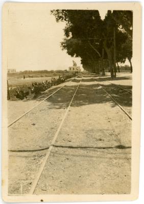 First World War Black and White Photograph of a Railway Line in the Desert