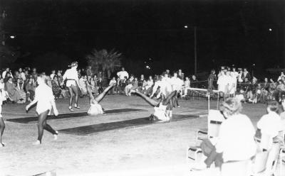 International Day Celebrations