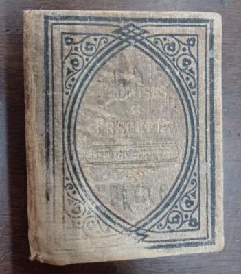 Book - "Promises & Precepts" owned by A Tanner