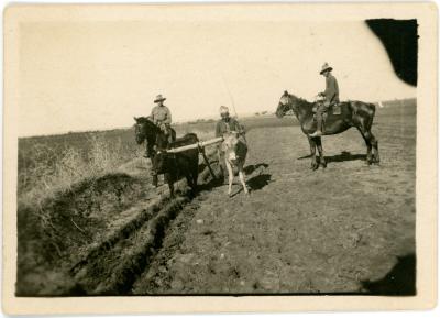 First World War Black and White Photograph of Farming in Palestine