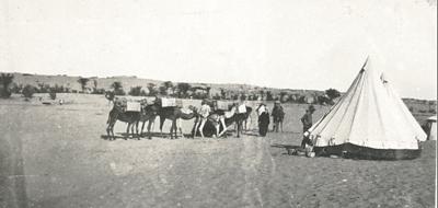 World War 1, South West Asia, Gaza and Palestine, Romani, 10 Light Horse, 1916