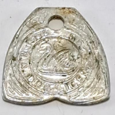 WA 1955 56/ Dog license