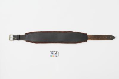 BODY BELT