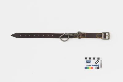 ANKLE STRAP USED IN HANGING