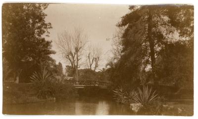 First World War Photograph of Gardens & Pond Giza Zoo, Cairo