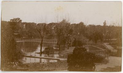 First World War Photograph of a Lake and Gardens in Giza Zoo Cairo