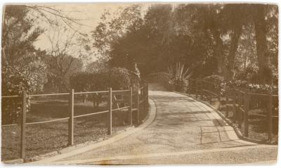 First World War Photograph of a Soldier Standing on Pathway Leading through Giza Zoo Gardens, Cairo