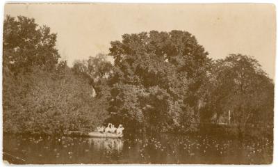 First World War Photograph of a Lake & Pelican's at Giza Zoological Gardens, Cairo