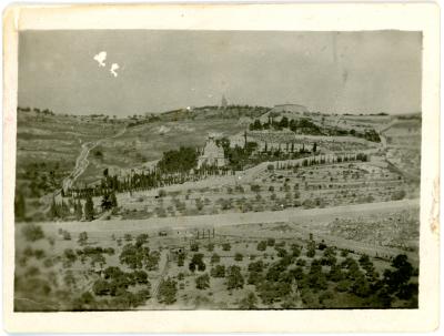 First World War Black and White Photograph of Mount Olives and Garden of Gethsemane