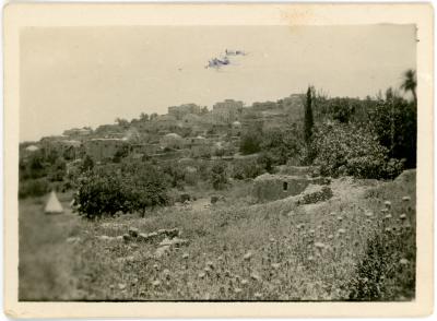 First World War Black and White Photograph of Enab Village Palestine 