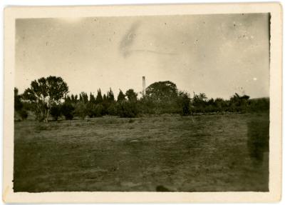 First World War Black and White Photograph of Orange Grove and Flour Mill at Medjel