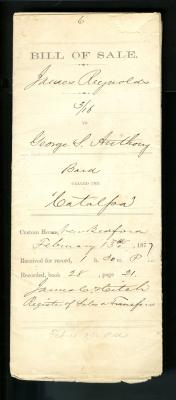 Bill of Sale - 13/02/1879