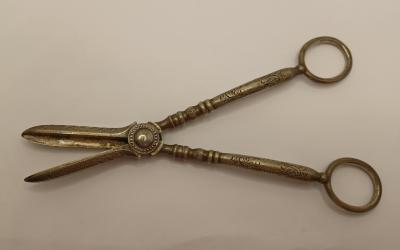 EPNS Grape Scissors