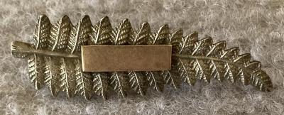 WWI era NZ silver fern sweetheart brooch with name plate