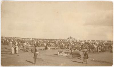 First World War Black and White Photograph of Camel Corps Lines in Helmieh District