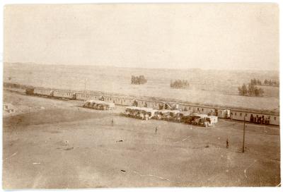 First World War Black and White Photograph of a Hospital Train and Waiting Ambulances, Heliopolis