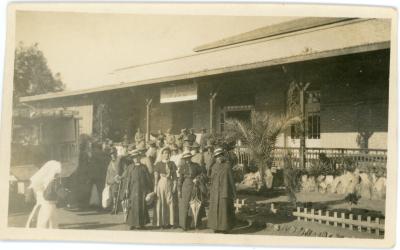 First World War Photograph of a Group of Australian Nurses & Soldiers at No 3 Auxiliary Hospital, Cairo