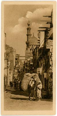 First World War Black and White Postcard of a Cairo Street