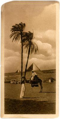 First World War Black and White Postcard of The Pyramids at Cairo