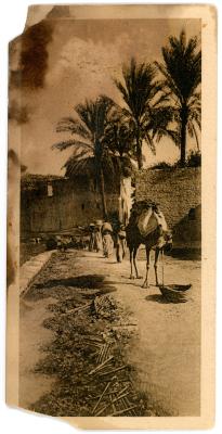 First World War Black and White Postcard of Marg Cairo