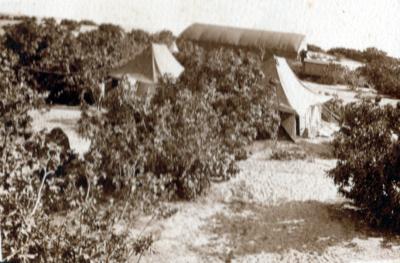 World War 1, South West Asia, Gaza / Palestine, Deir El Belah, 1 Squadron Australian, Flying Corps, STEWART, 1917