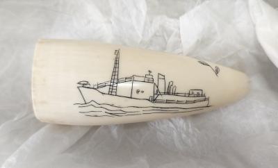 SCRIMSHAW (TOOTH WITH CHASER)