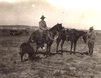World War 1, Middle East Egypt, 10 Australian Light Horse, 1916