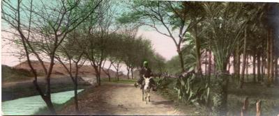 World War 1 , Middle East, 1914
