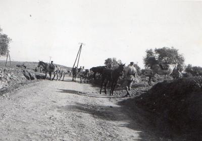 World War 2, South West Asia, Palestine, 1942