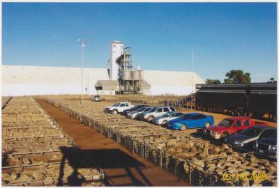 Katanning Sale Yards