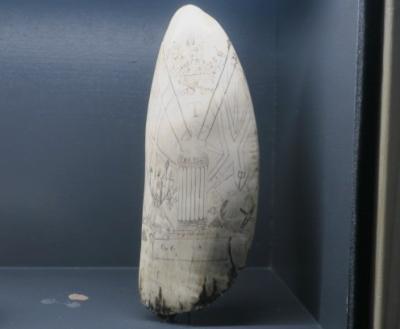 SCRIMSHAW (FLAGS PLUS BUST)