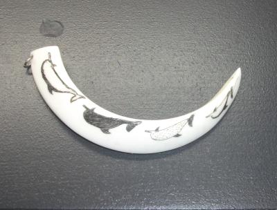 SCRIMSHAW (DOLPHINS)