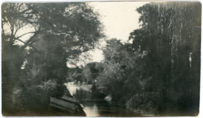 First World War Photograph of the Barrage Gardens on the Nile River