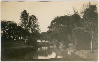 First World War Photograph of the Barrage Gardens on the Nile River