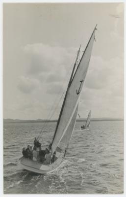 Black and White Photographic Postcard of Sailing Ships in Albany