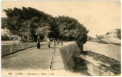 First World War Postcard of ‘Old Cairo and Ficus Trees’, Cairo