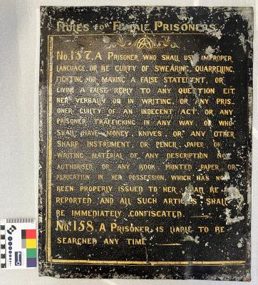 Rules for Women's division sign