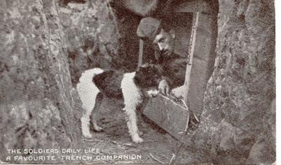 World War 1 , Europe, 1916