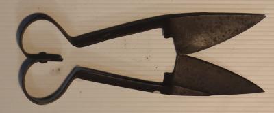 Sheep Shears