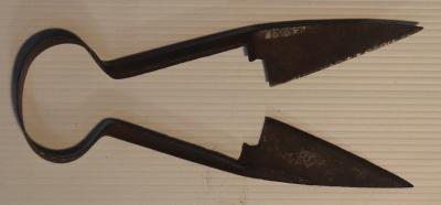 Sheep Shears