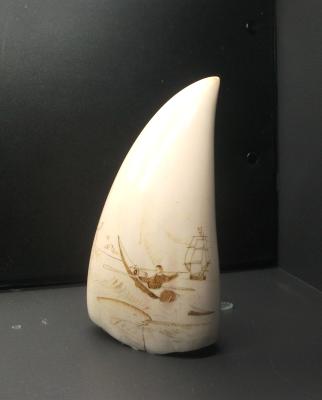 SCRIMSHAW (NARWHAL)